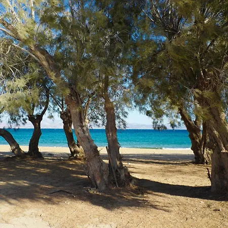 Casa Maia ピソ ・リバディ