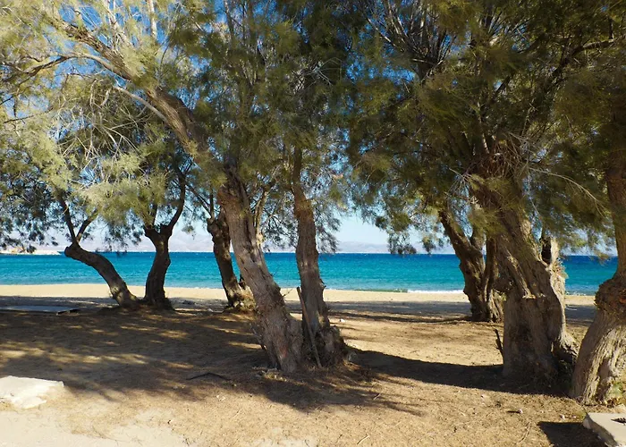 Casa Maia Piso Livadi